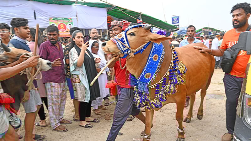“গাবতলী হাটের ইজারা বাতিল, তদন্তে দুদক”