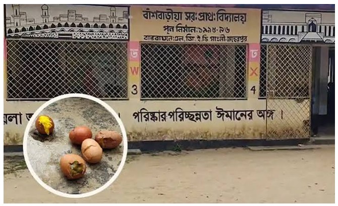 স্কুল ফিডিংয়ে নিম্নমানের ডিম, তদন্তে দ্রুত ব্যবস্থা
