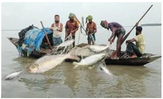 আজ থেকে ২২ দিনের ইলিশ ধরায় নিষেধাজ্ঞা