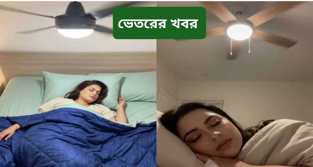 এক ঘণ্টা সিলিং ফ্যান চালালে কত টাকার বিদ্যুৎ খরচ হয়, জানুন হিসাব