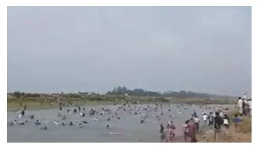 ভেদরগঞ্জে দুপক্ষের সংঘর্ষ