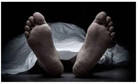 গোসাইরহাটে শ্রমিক দলের সদস্যের আমগাছে ঝুলন্ত লাশ