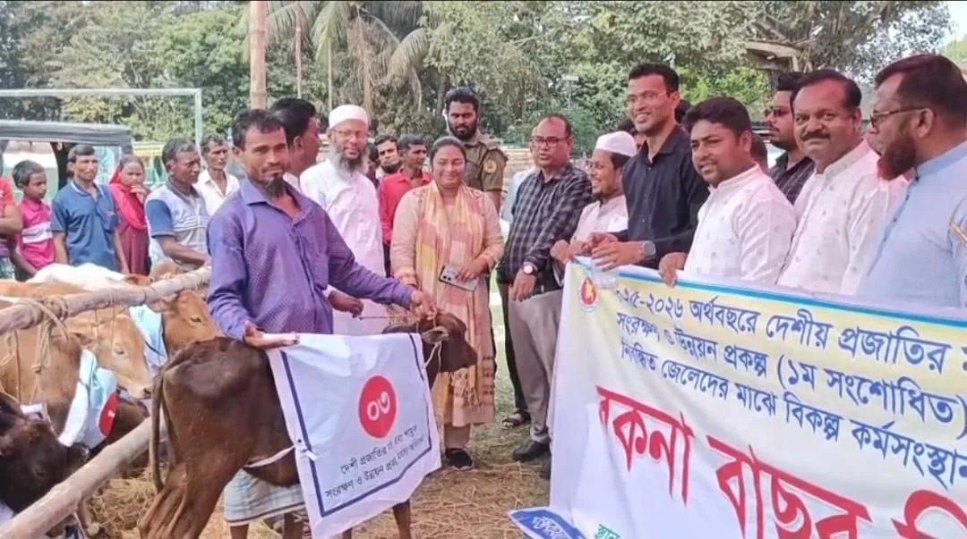 কোটালীপাড়ায় ৫৮ প্রান্তিক জেলে পেল বকনা বাছুর, বিকল্প আয়ে নতুন আশার আলো