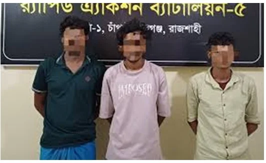 চাঁপাইনবাবগঞ্জে ট্রাকে অভিযান, ৪৯ কেজি গাঁজাসহ আটক ৩