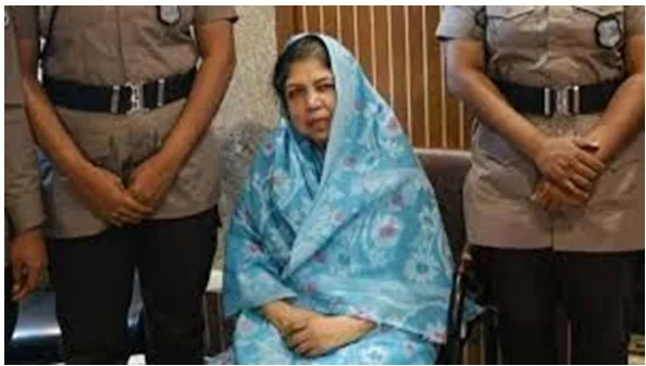 শিরীন শারমিন চৌধুরী আটক, ডিবি হেফাজতে