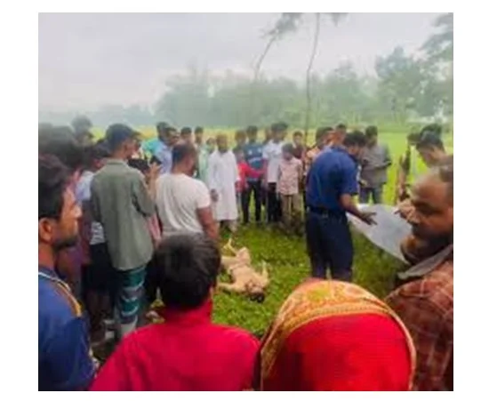 কুলিয়ারচরে কাঠ ব্যবসায়ীর লাশ উদ্ধার