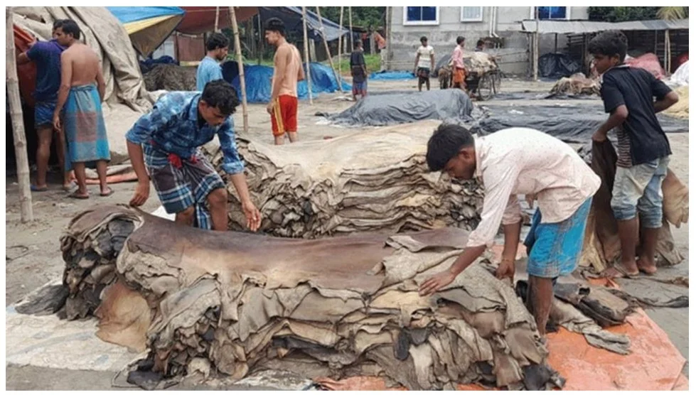 চামড়ার বাজারে ধস, বিপাকে মৌসুমি ব্যবসায়ীরা