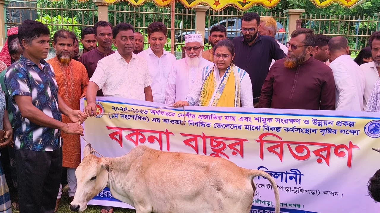 কোটালীপাড়ায় ৬০ প্রান্তিক জেলে পেল বকনা বাছুর, বিকল্প আয়ে নতুন আশার আলো