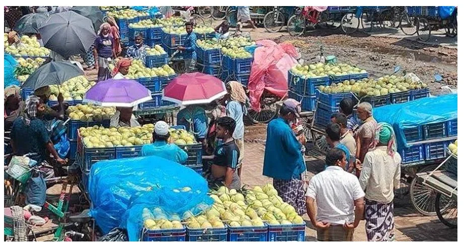 কানসাটের আমবাজারে জমজমাট মৌসুম