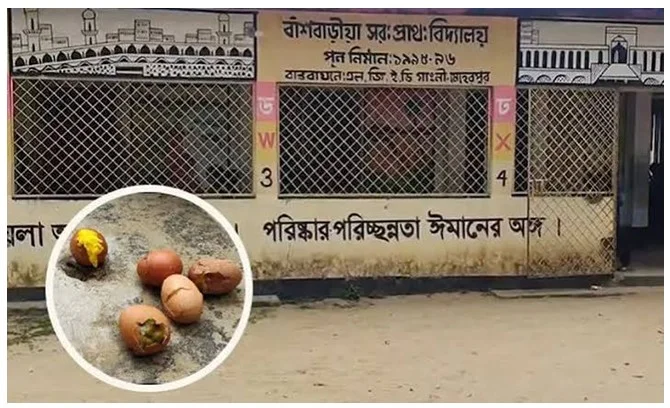 স্কুল ফিডিংয়ে নিম্নমানের ডিম, তদন্তে দ্রুত ব্যবস্থা