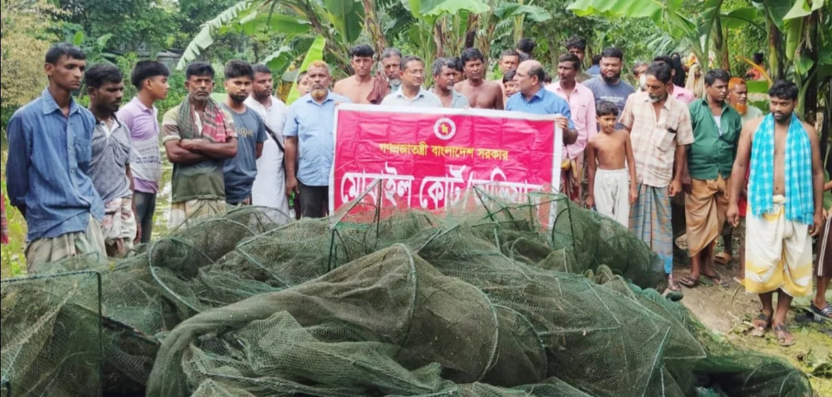 বড়াইগ্রামে নিষিদ্ধ ৮০টি চায়না রিং জাল জব্দ: পুড়িয়ে ধ্বংস