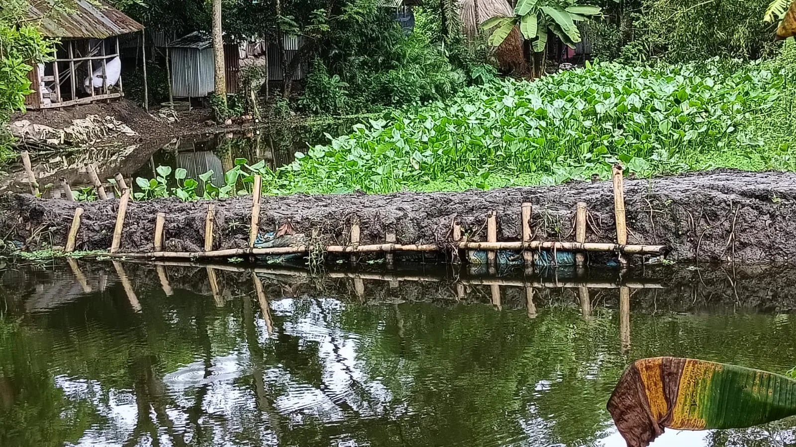 কোটালীপাড়ায় সরকারি খাল দখল করে মাছের ঘের, হুমকির মুখে বসতবাড়ি: সরকারি অফিস গুলোতে অভিযোগ করেও প্রতিকার পাচ্ছেনা ভুক্তভোগীরা