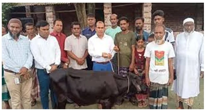 নিহত ফিরোজার পরিবারের পাশে প্রশাসন, দেওয়া হলো গাভী